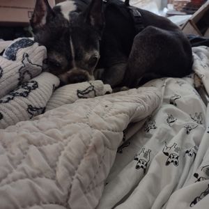 Meet your Posher, Cecil